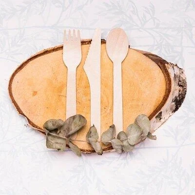 Wooden Disposible Biodegradable (Bagasse) - Image 2