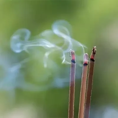Incense Stick (Agarbatti) - Image 6