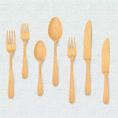 Wooden Disposible Biodegradable (Bagasse) - Image 3