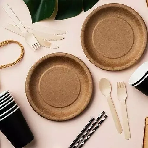 Biodegradable,-Bagasse-2